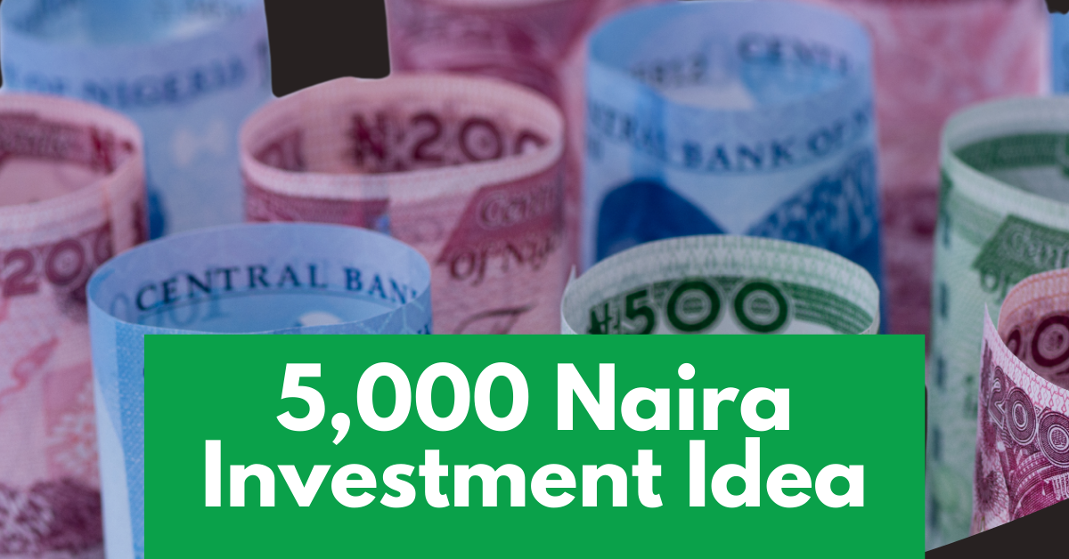 How to invest 5,000 naira